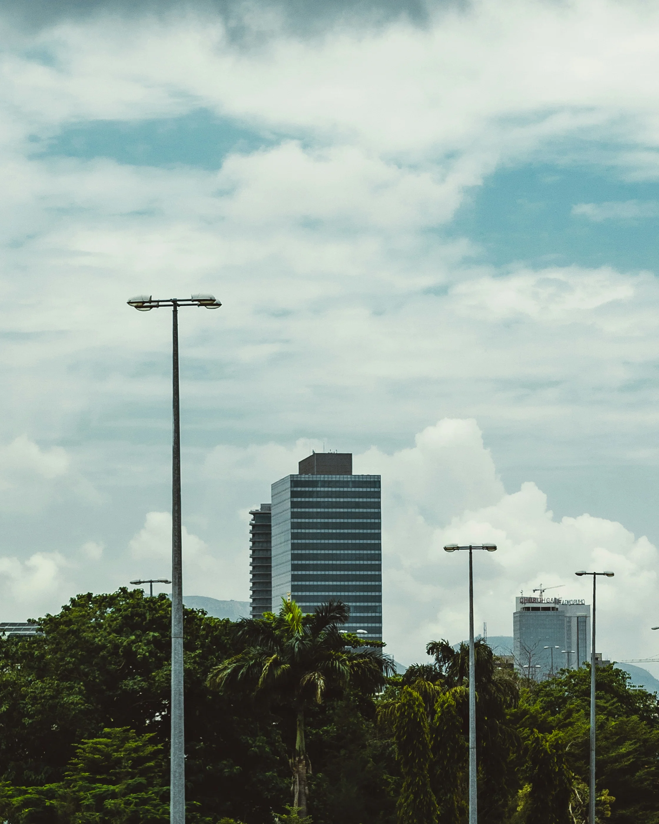 Glass office towers and a crane in Abuja behind palm trees and street lamps under a cloudy sky